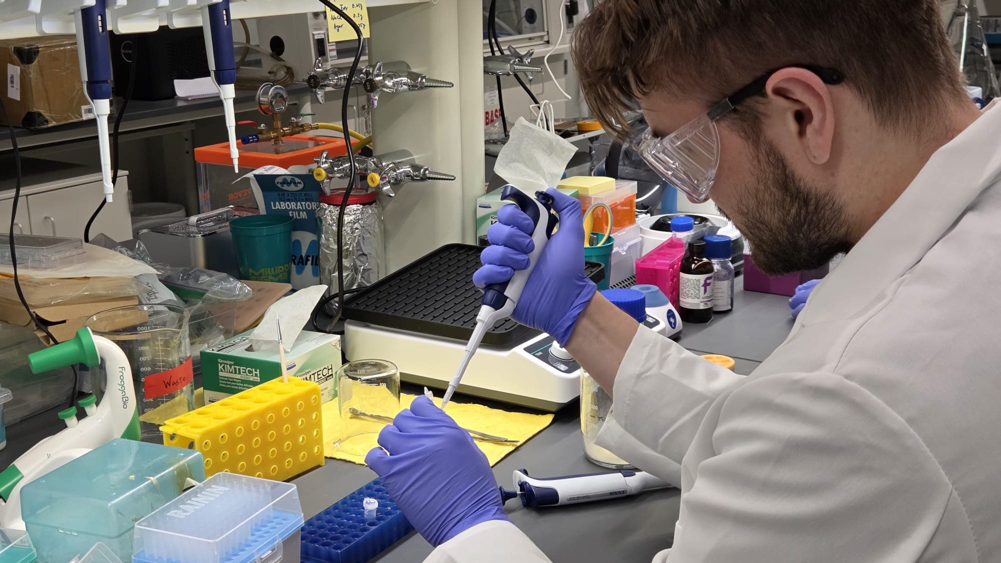 Team conducting DNA plasmid and transfection workflow activities in the lab.